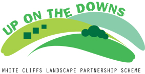 Up on the Downs Logo