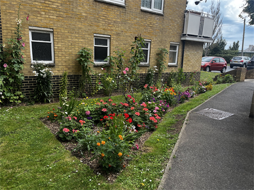 Green-fingered tenants - Outstanding contribution Pittock House