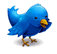 Follow us on Twitter