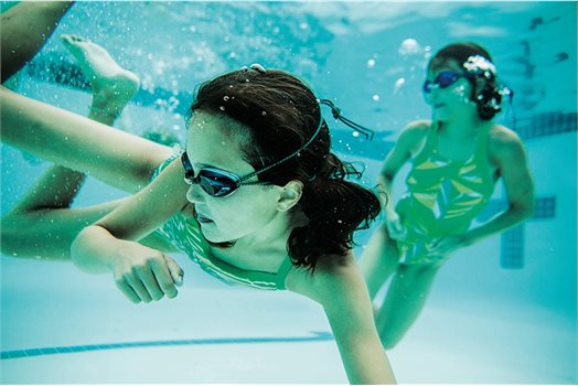 PfP Free Swimming