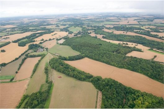 Have your say on a greener future (green infrastructure)