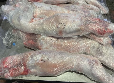 DPHA illegal meat1