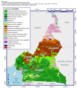 timber map