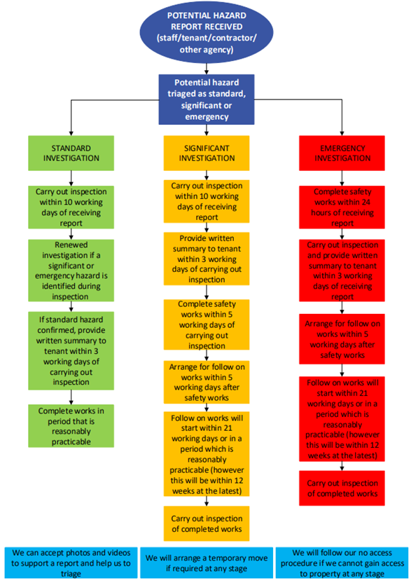damp and mould flow chart