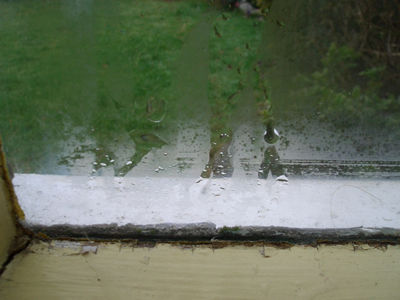 condensation on a window