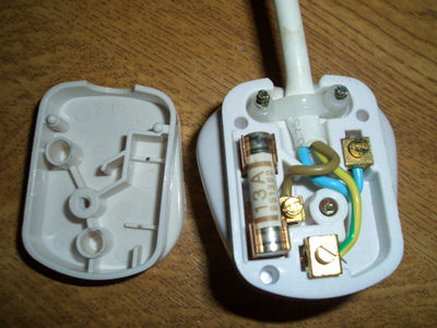 inside of a plug