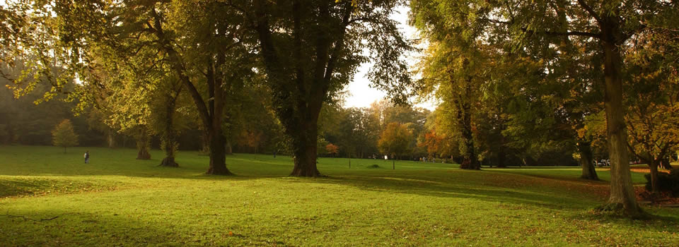 Kearsney abbey