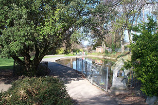 connaught park pond