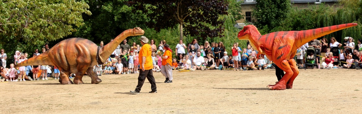 hire land or sports facilities - dino day at Pencester Gardens 2026