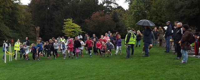 Park run