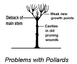 problems-pollards