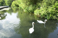 Kearsney Abbey