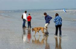 Sandwich Bay