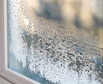 Condensation window1