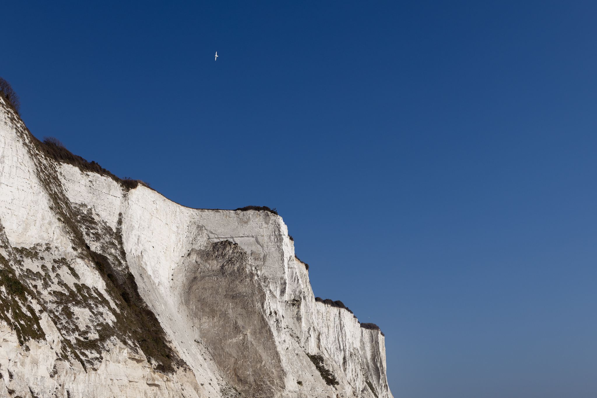 White cliffs of St Margarets Bay in Dover with a clear blue sky setting