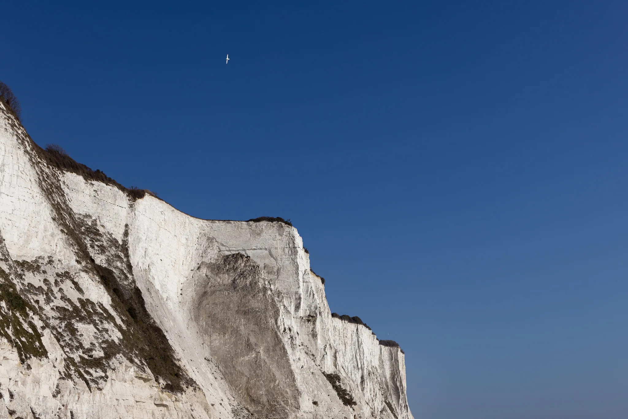 White cliffs of St Margarets Bay in Dover with a clear blue sky setting